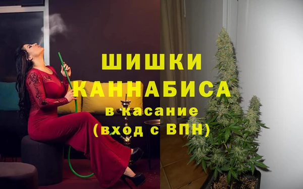 прущий лед Абаза