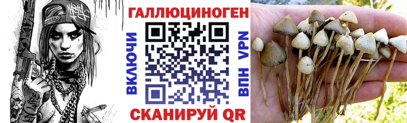 Галлюциногенные грибы мицелий  ссылка на мегу tor  Сысерть 
